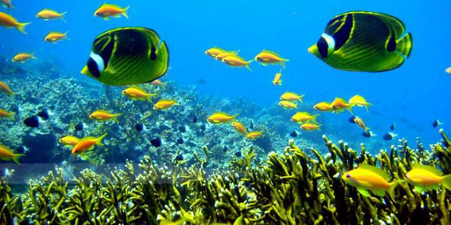 Full day of underwater adventures (14)